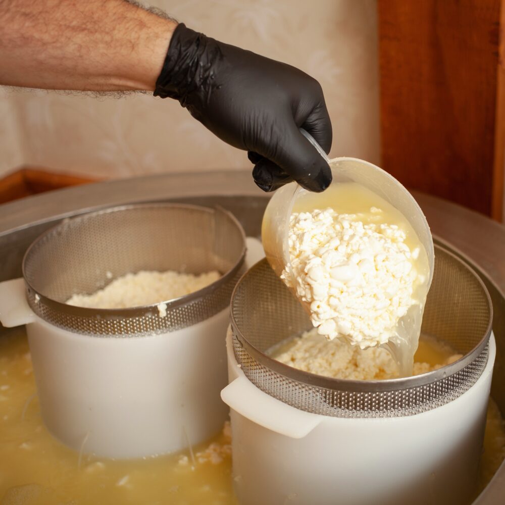 Cheese production from milk, home business, food, eco-friendly and tasty products. Serum in vat